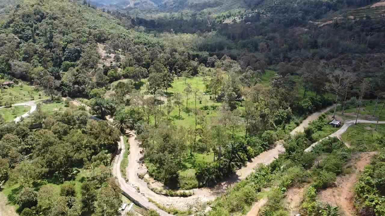 Bentong Land for Sale - 6 Acre Land With Durian Trees