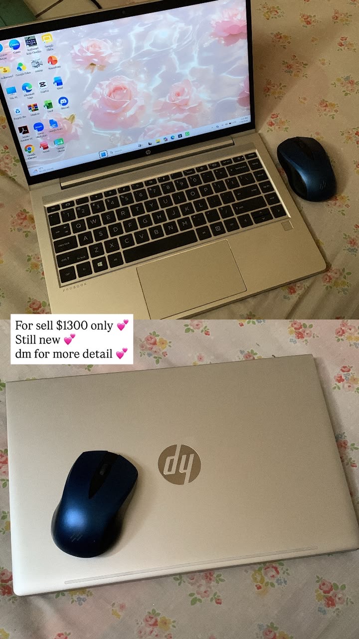 Prelove Laptop HP Probook - Sabah